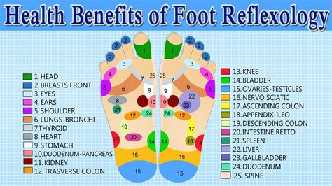 Understanding Reflexology and Health Benefits.